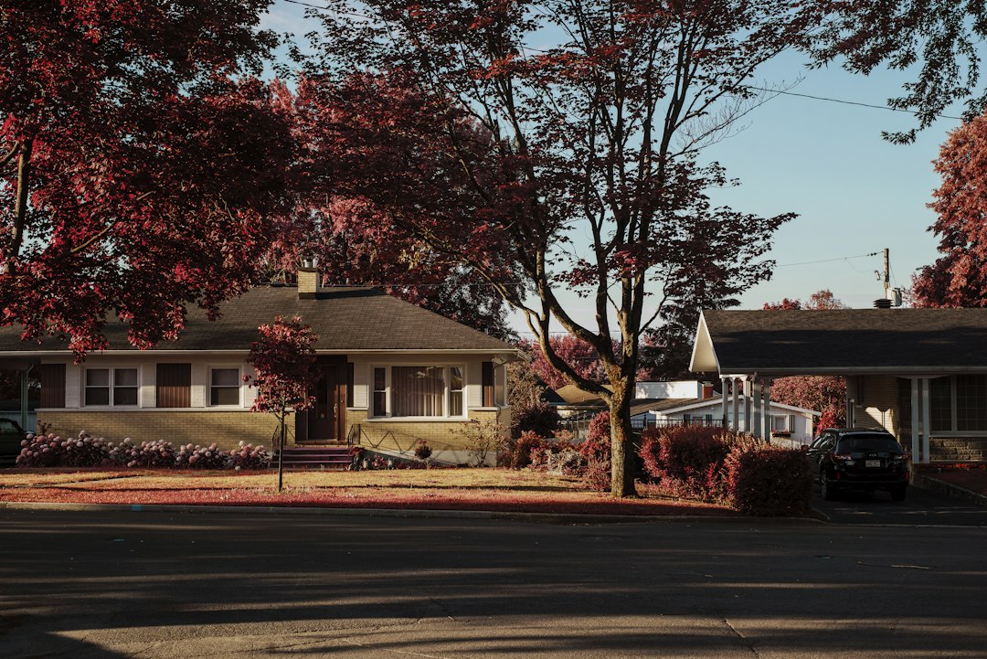 Homeowners Insurance